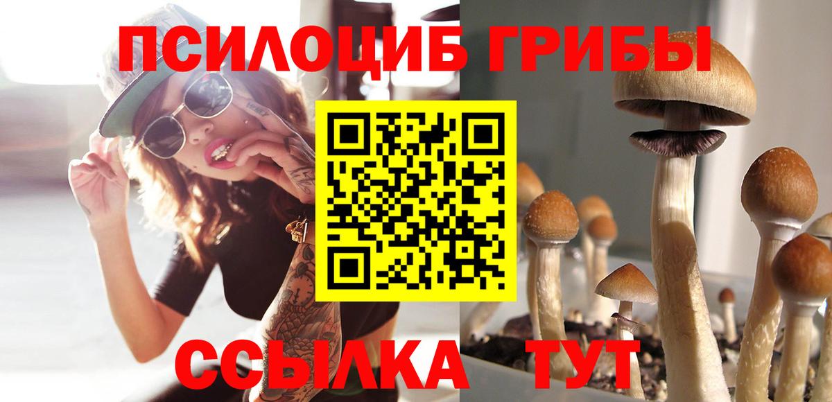 Обь  Псилоцибиновые грибы Magic Shrooms  Галлюциногенные грибы ЛСД  Вход с VPN 
