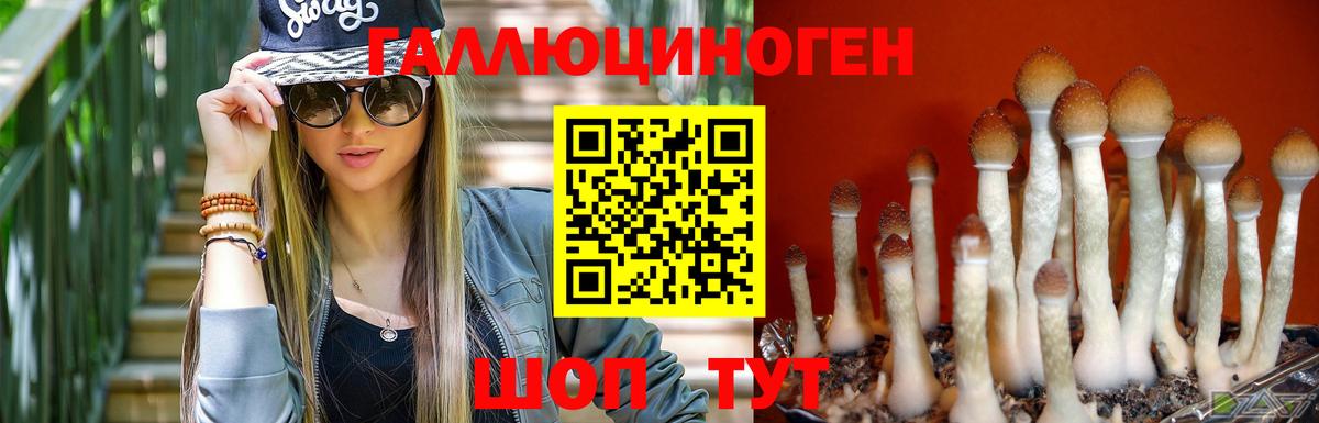 Псилоцибиновые грибы Psilocybe Обь